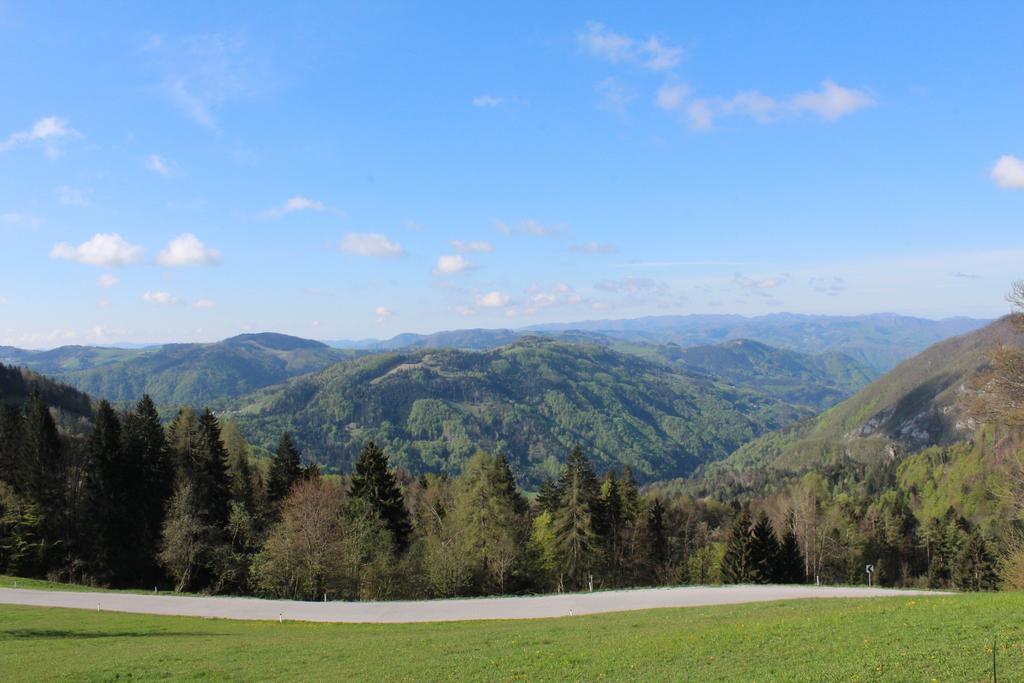 Domacija Za Robom Apartamento Cerkno Exterior foto