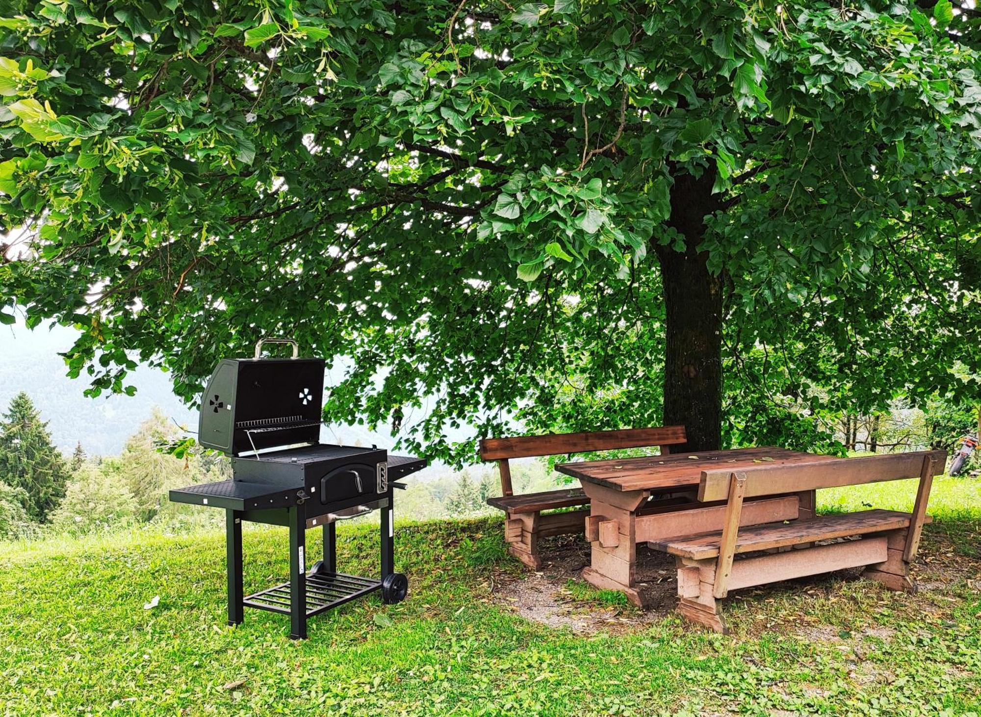 Domacija Za Robom Apartamento Cerkno Exterior foto