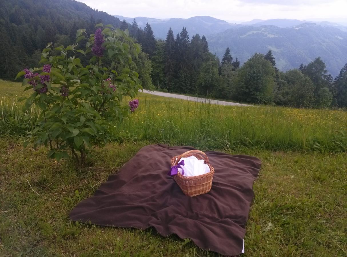Domacija Za Robom Apartamento Cerkno Exterior foto