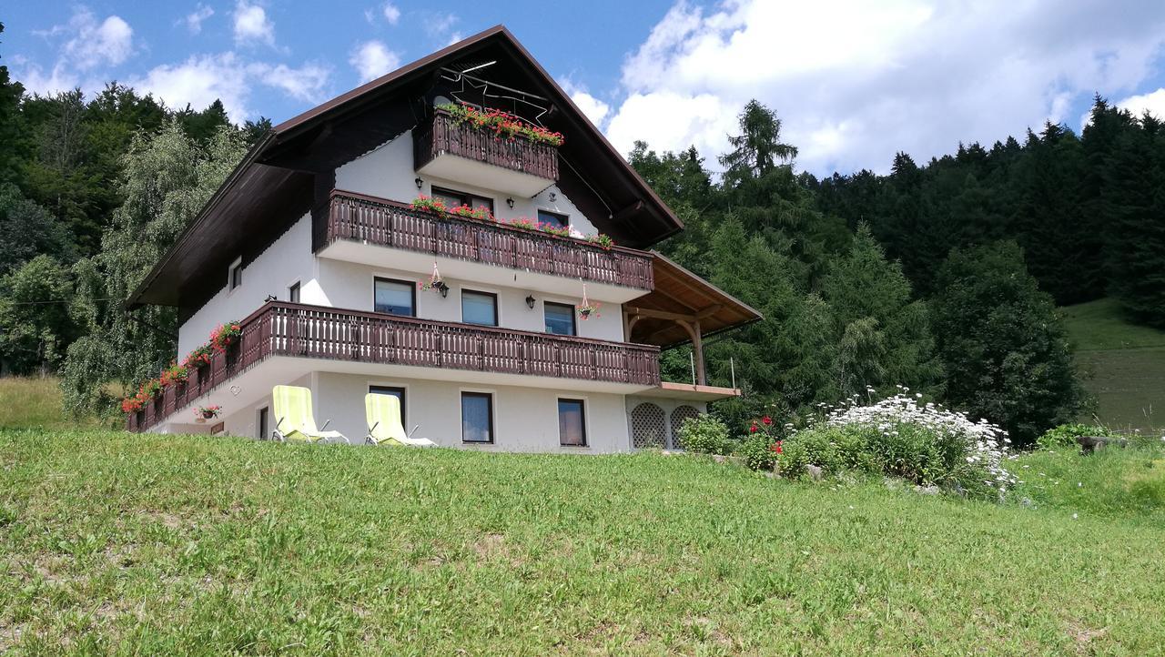 Domacija Za Robom Apartamento Cerkno Exterior foto